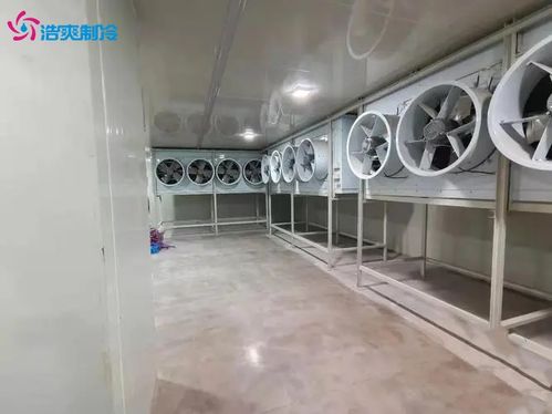 肉類速凍冷庫 食品速凍冷庫的建造設計