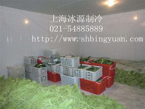 陜西果蔬冷庫(kù)報(bào)價(jià)