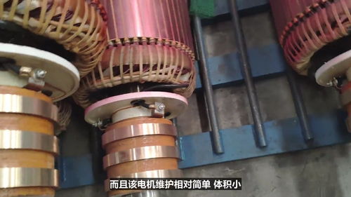 新型節能型繞線轉子異步電動機在866電機系統中的軟件開發與應用